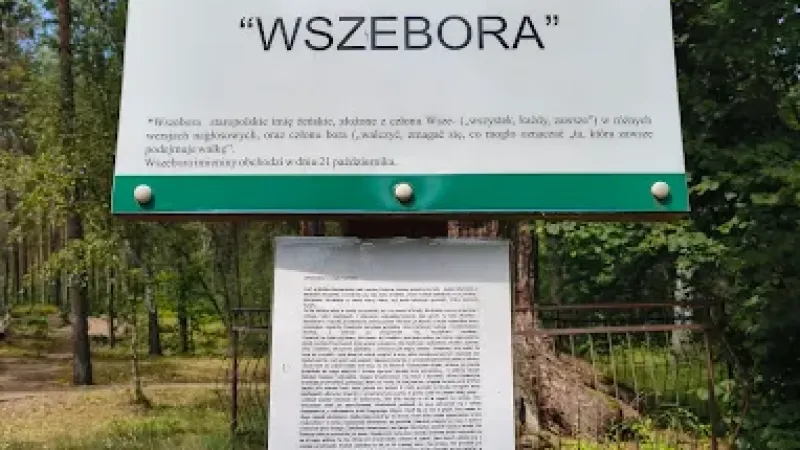 Wszebora - nazywana najstarszą sosną w Polsce
